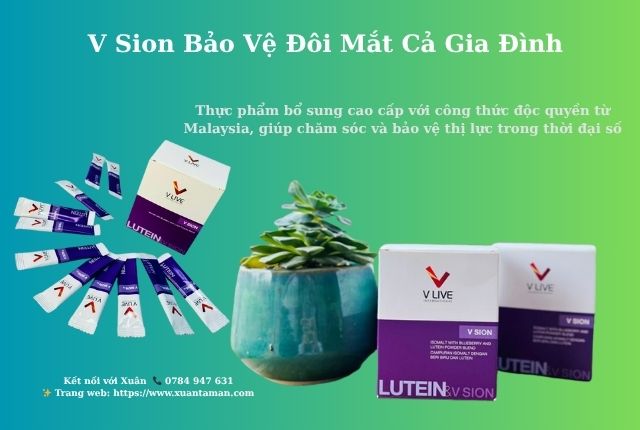 Lợi Ích Thực Tế Từ V Sion